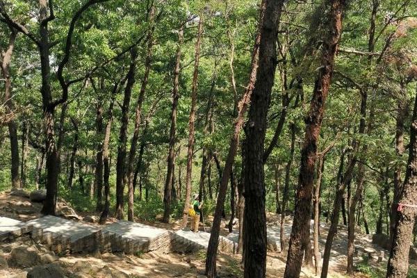 沂蒙山云蒙景區(qū)和龜蒙景區(qū)哪個(gè)好