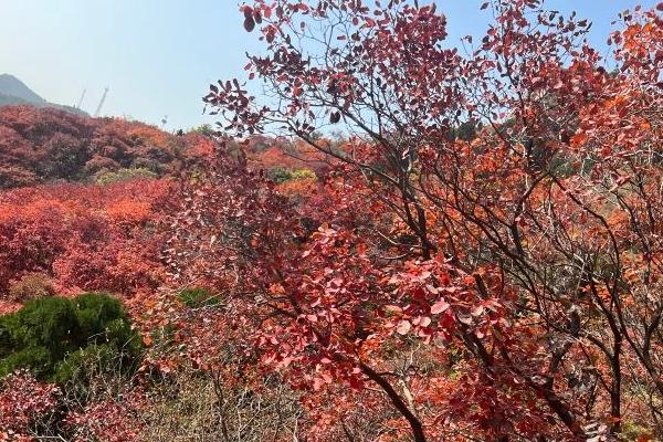 石門坊一日游攻略