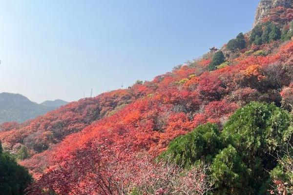 臨朐石門坊景點介紹