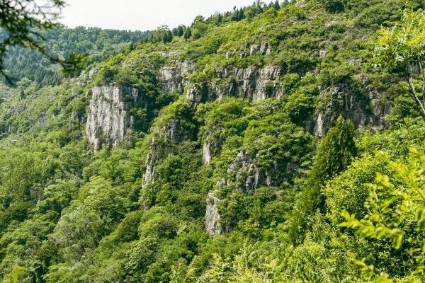 棗莊熊耳山景區門票多少元