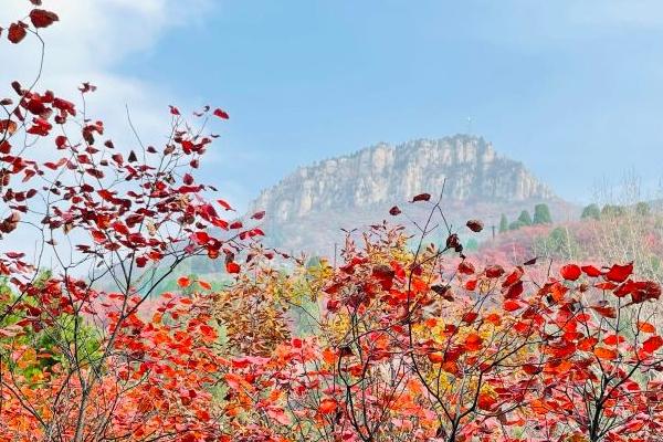 濟南紅葉谷景點介紹 有什么好玩的