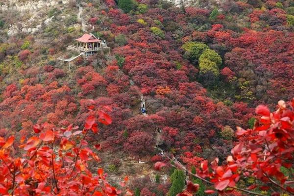 石门坊景区旅游攻略-门票价格-景点信息