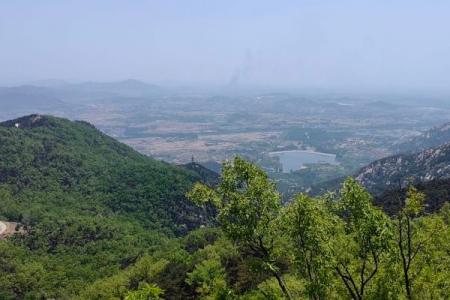 新泰新甫山景区旅游攻略-门票价格-景点信息