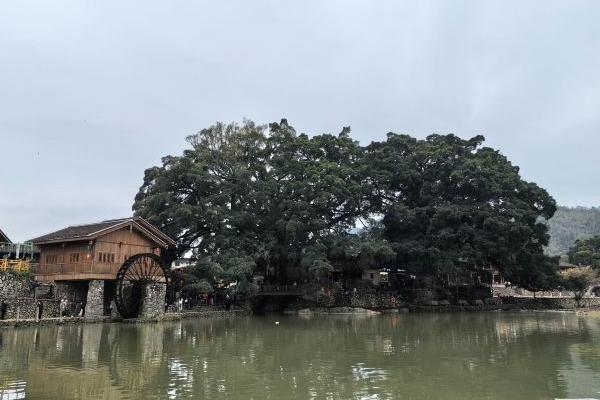 云水謠古鎮旅游攻略-門票價格-景點信息