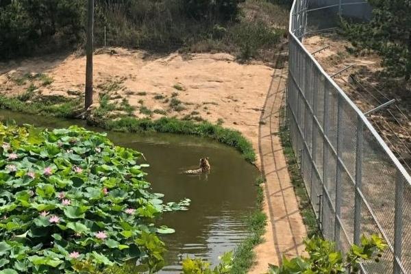 神雕山動(dòng)物園游玩時(shí)間