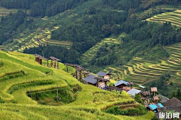 贵州加榜梯田旅游攻略-门票价格-景点信息