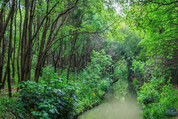 無錫周邊水上森林公園有哪些