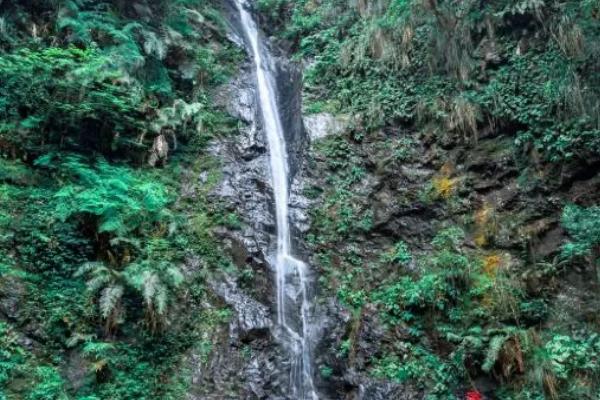 牛姆林风景区门票价格多少