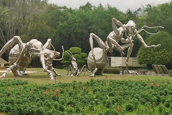 漳州东南花都景点介绍