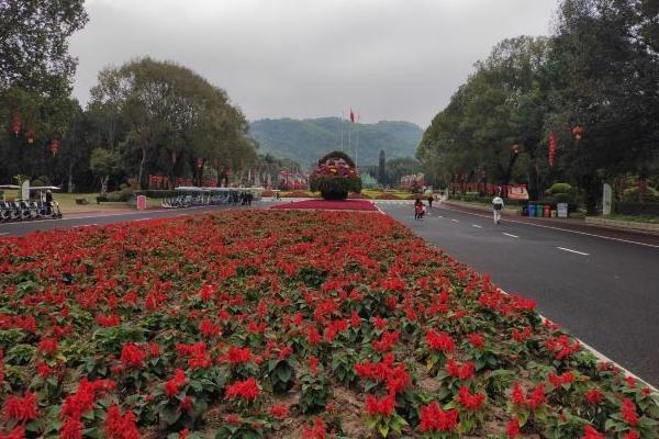 东南花都有什么好玩的