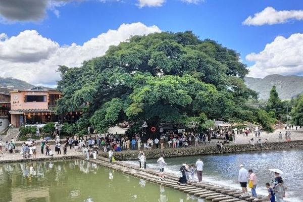 福建土樓王景區游玩攻略-門票價格-景點信息