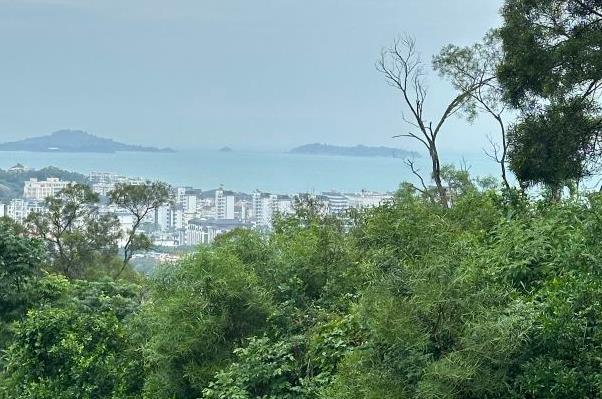 廈門園林植物園最佳游覽路線