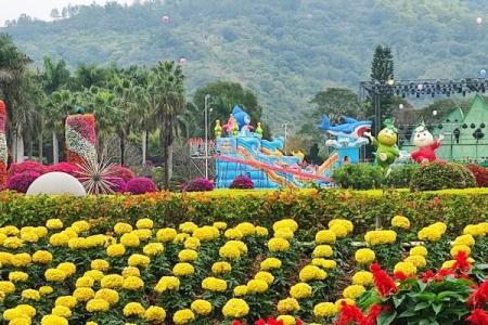 漳州东南花都花博园旅游攻略-门票价格-景点信息