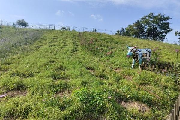 十里藍山在哪里 具體位置