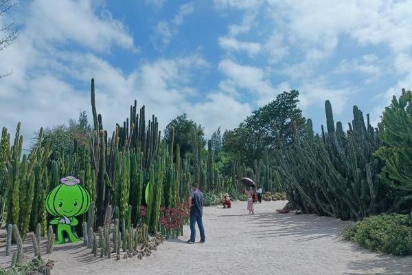 廈門園林植物園最佳游覽路線