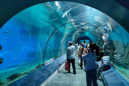 罗源湾海洋世界游玩攻略-门票价格-景点信息