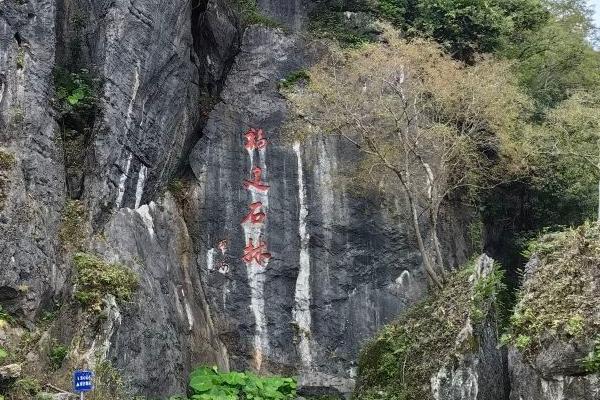 鳞隐石林门票优惠政策