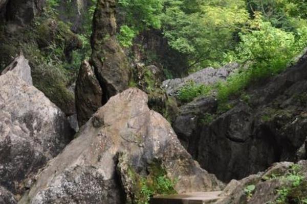 福建鳞隐石林旅游攻略-门票价格-景点信息