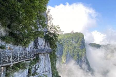 2024张家界天门山门票多少钱一张 2024张家界天门山门票多少钱一张