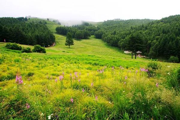 石家莊帳篷露營哪里好