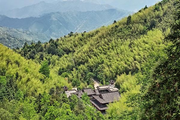 陽明山國家森林公園有什么好玩的