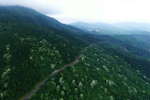 平天山国家森林公园旅游攻略-门票价格-景点信息