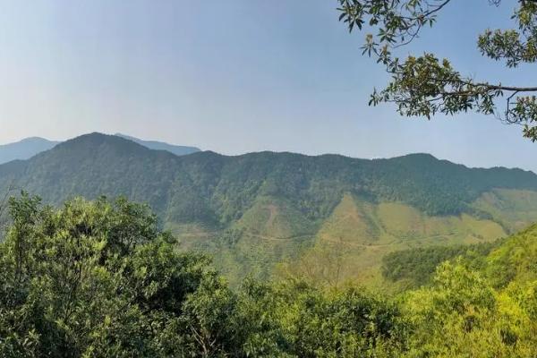 六萬大山森林公園在哪里 開放時間是什么時候