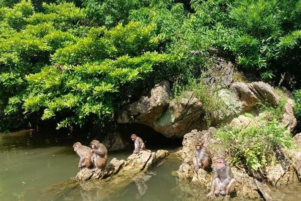 南宁龙虎山旅游攻略一日游