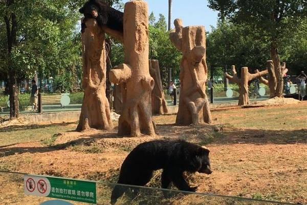 雄森动物大世界旅游攻略-门票价格-景点信息