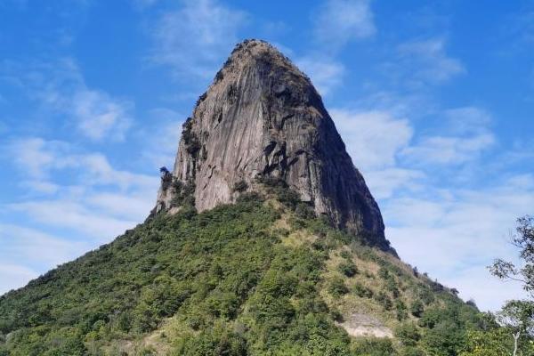 岑溪天龍頂國家山地公園門票多少錢