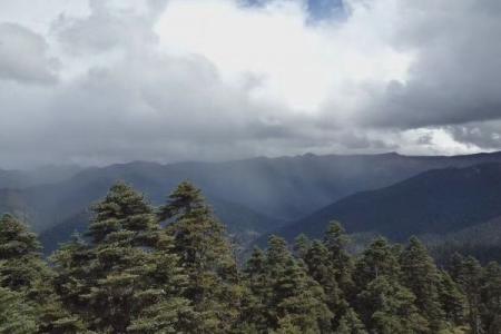 鲁朗林海风景区游玩攻略-门票价格-景点信息