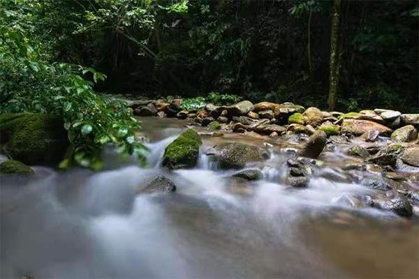 百色大王岭旅游攻略-门票价格-景点信息