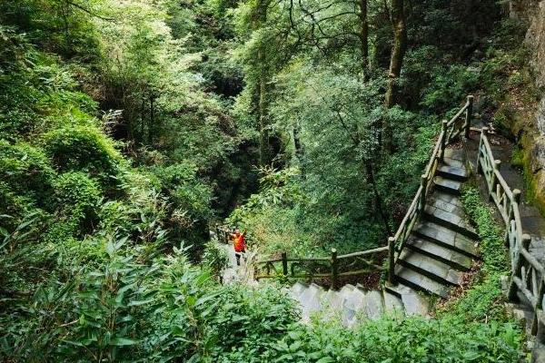 南宁大明山景区游玩攻略一日游2024