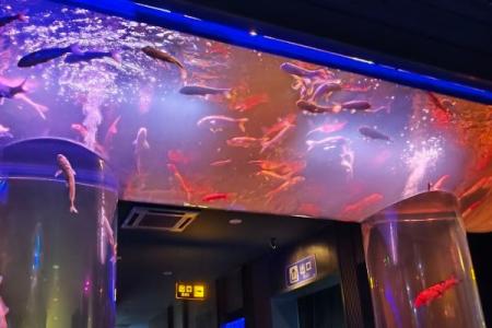北海海洋之窗界旅游攻略-门票价格-景点信息