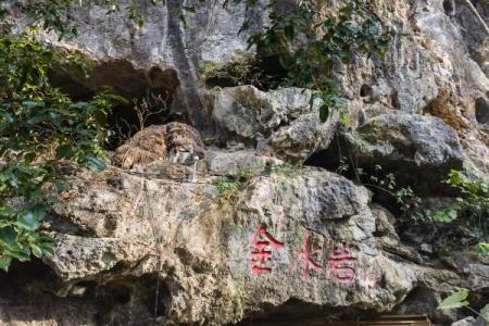 金水岩游玩攻略-门票价格-景点信息