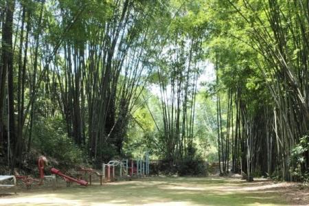南宁凤凰谷景区旅游攻略-门票价格-景点信息
