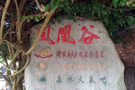 南宁凤凰谷景区旅游攻略-门票价格-景点信息