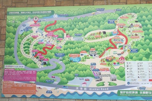 2024大連森林動物園游玩攻略-門票多少錢