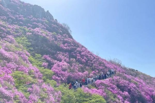 大黑山风景区游玩攻略-门票价格-景点信息