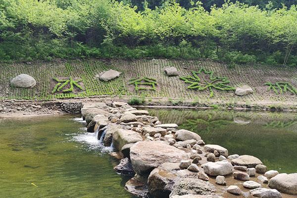 大冰溝森林公園旅游攻略-門票價格-景點信息