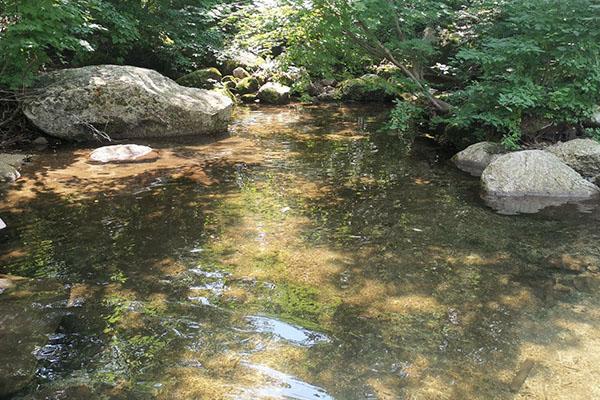 大冰溝森林公園旅游攻略-門票價格-景點信息