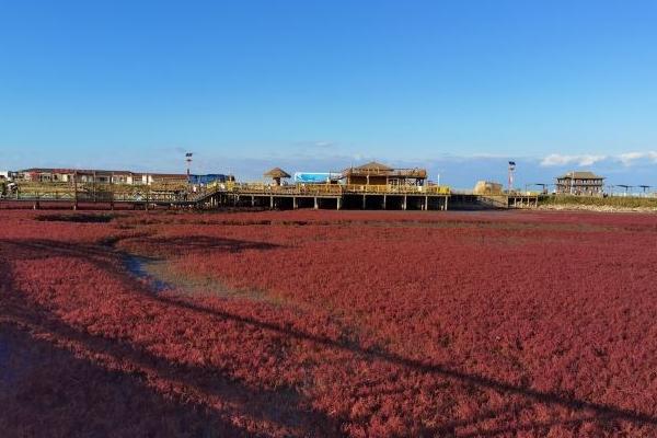 盘锦红海滩风景区门票多少钱