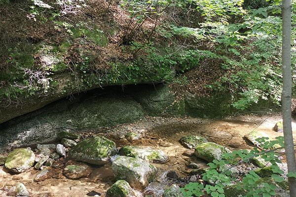 大冰溝森林公園旅游攻略-門票價格-景點信息