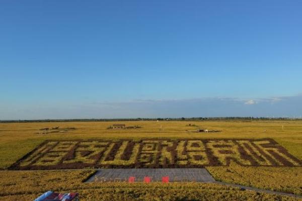 盤錦紅海灘風景區門票多少錢