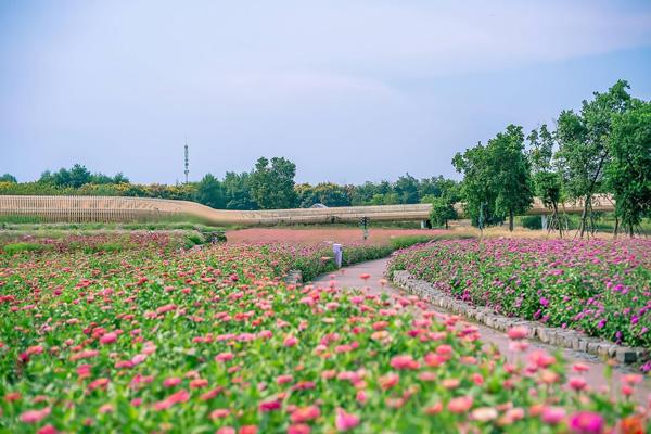 宿遷沭陽哪里好玩