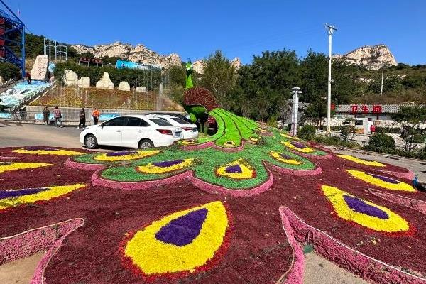 医巫闾山大芦花风景区旅游攻略-门票价格-景点信息