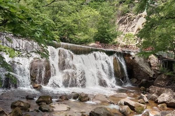 2024天橋溝森林公園門票多少錢