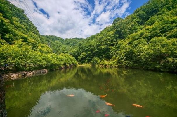 2024抚顺天女山风景区门票价格