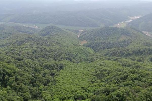 天女山风景区门票优惠政策