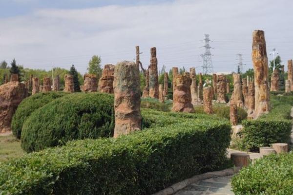 遼寧朝陽鳥化石國家地質公園旅游攻略-門票價格-景點信息